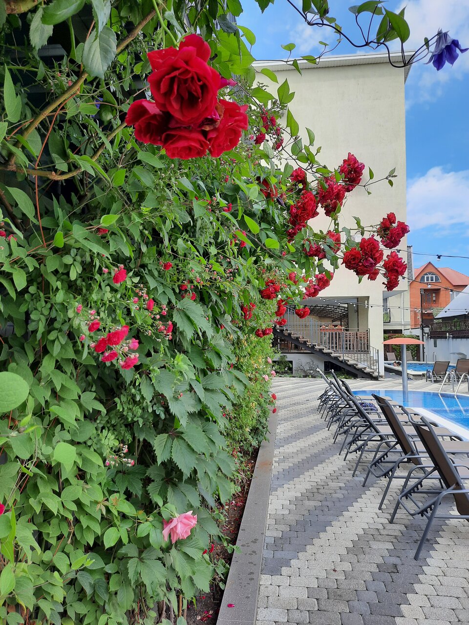 Гостиница Венеция Анапа-14