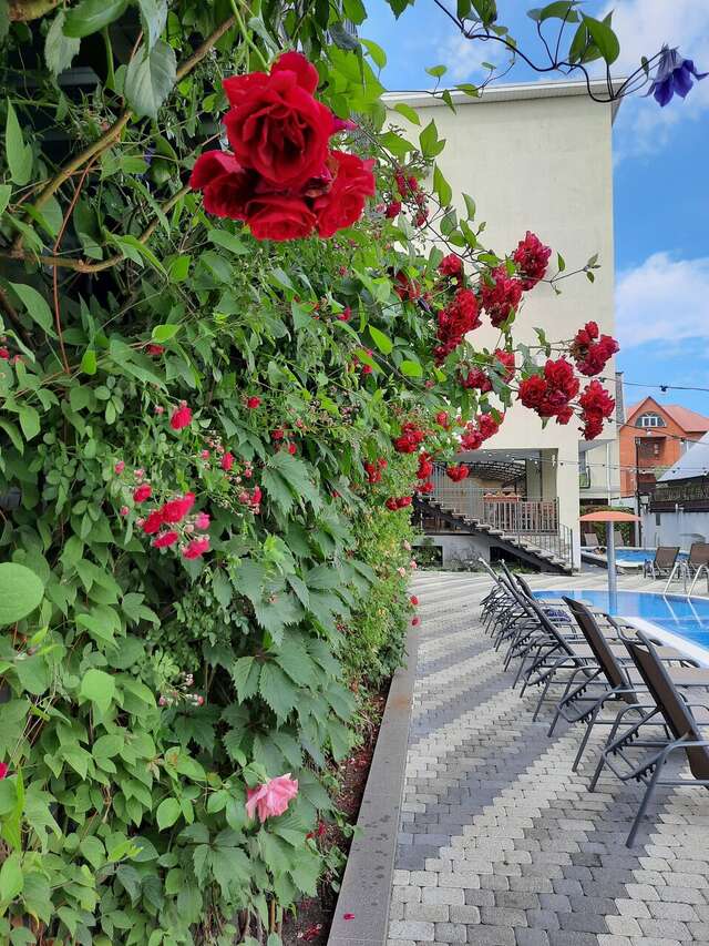 Гостиница Венеция Анапа-13